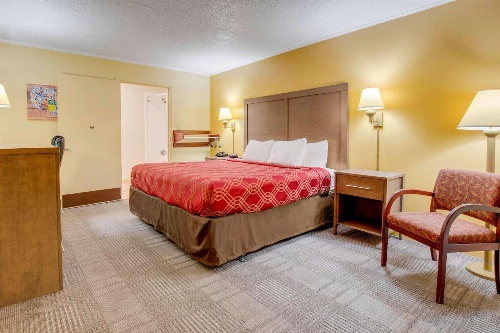 Econo Lodge Lenoir City image 2
