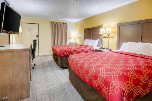 Econo Lodge Lenoir City image 4