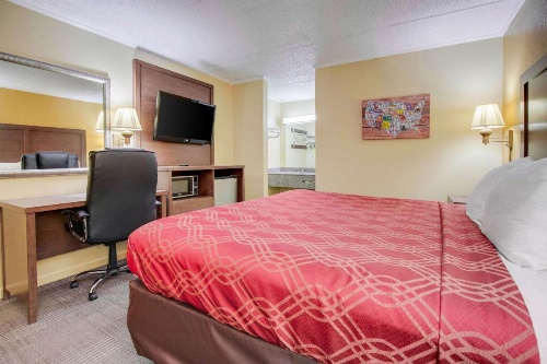 Econo Lodge Lenoir City image 7