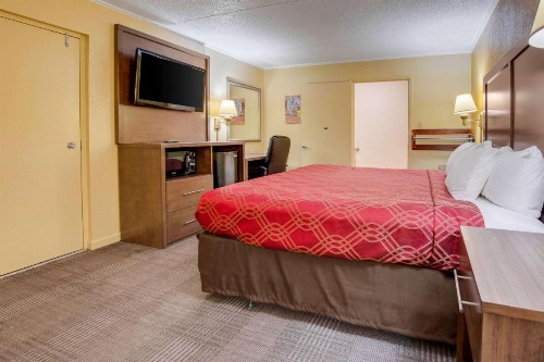 Econo Lodge Lenoir City image 9